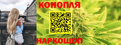 индика Кандалакша