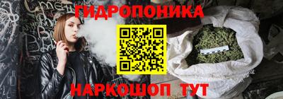 индика Кандалакша