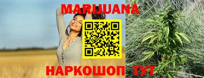 индика Кандалакша