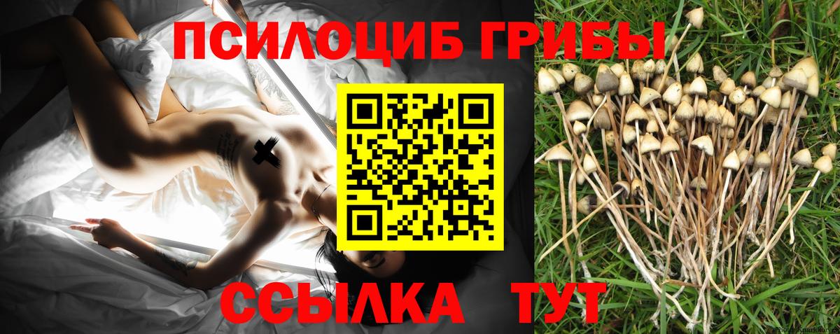 Галлюциногенные грибы Psilocybe  Вход с VPN  Псилоцибиновые грибы Psilocybine cubensis  Красноярск 