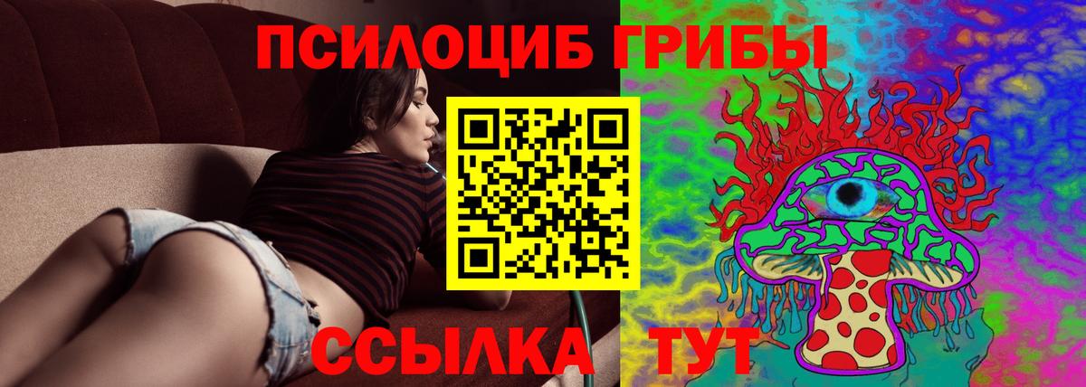 Псилоцибиновые грибы Psilocybe Красноярск